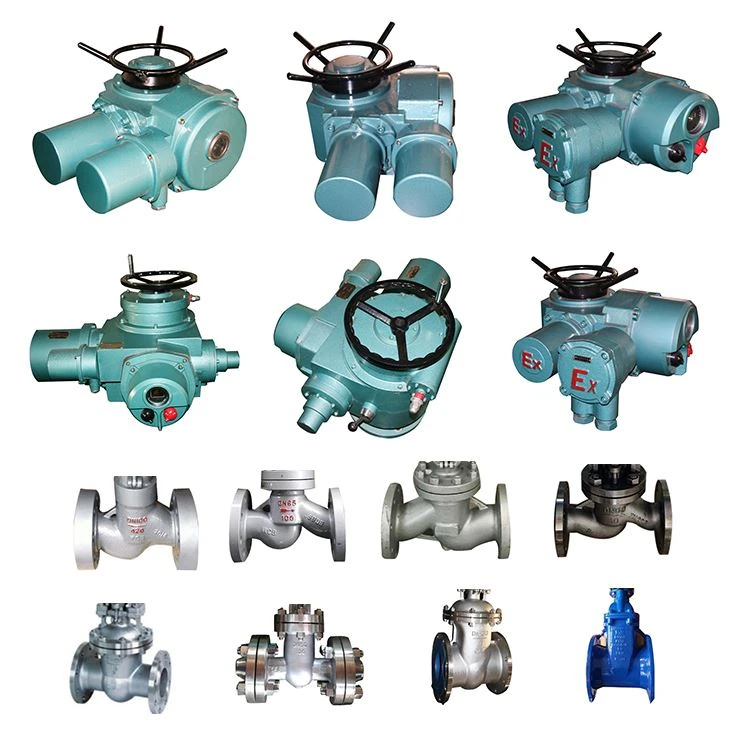 Multi Turn Electric Drives Actuated Gate Valve
